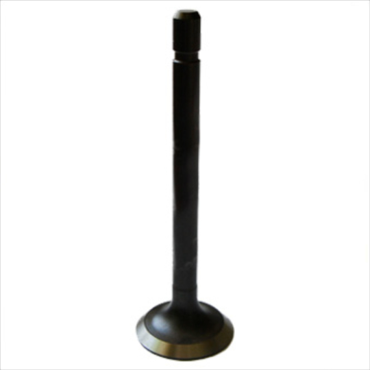 STMV0013